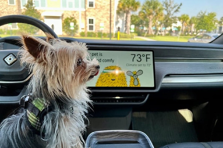 Rivian Pet Comfort drive mode with a Yorkie in front seat