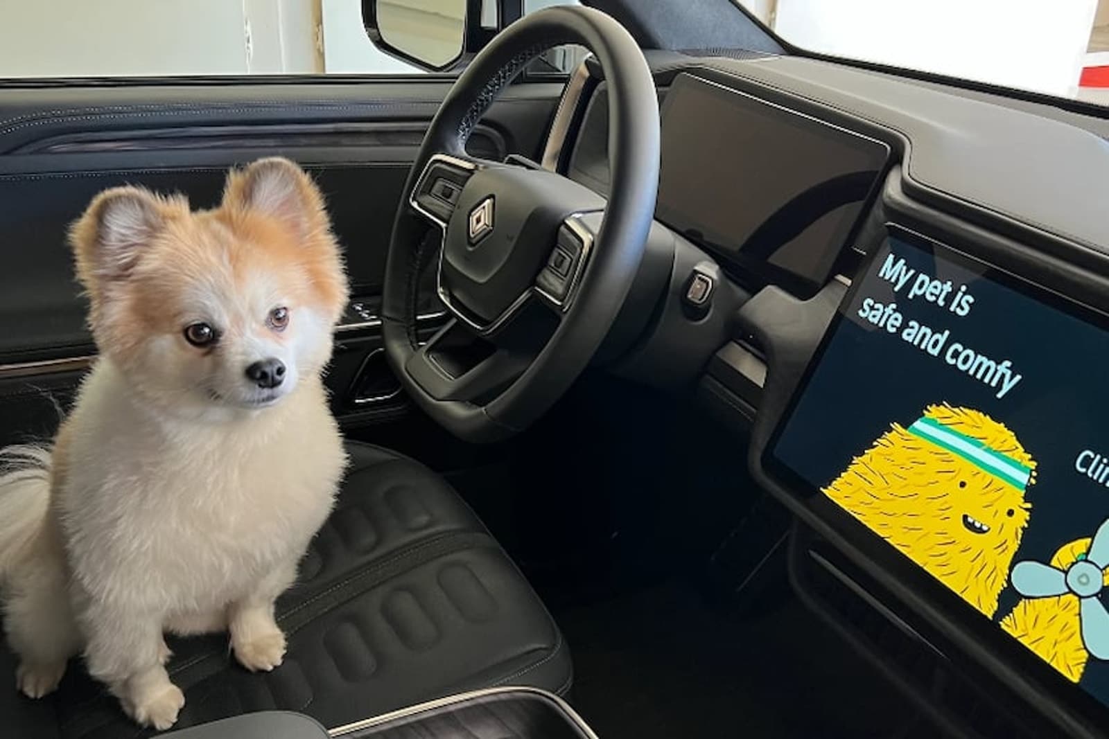 A dog hangs out in the driver's seat with Rivian Pet Comfort mode activated.