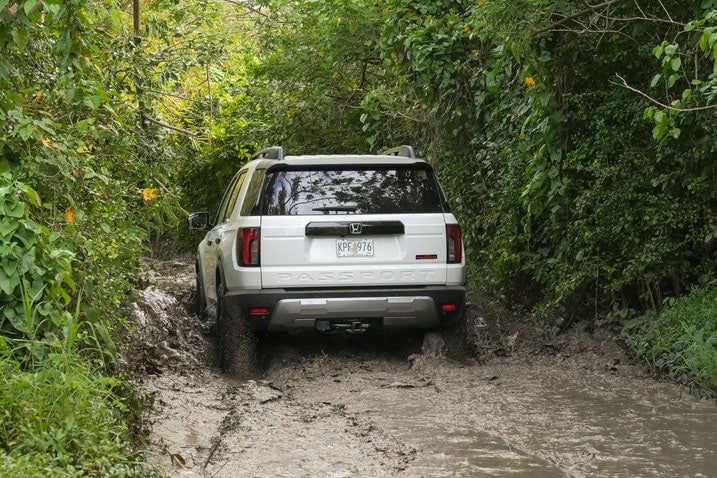 2026 Honda Passport Trailsport rear view