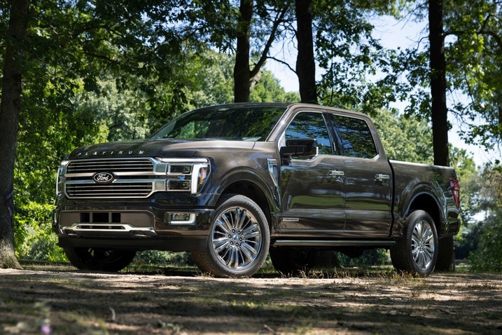 2024 Ford F-150 Platinum in the woods
