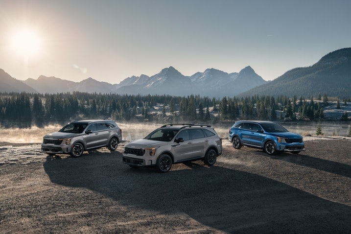 2024 Kia Sorento group shot