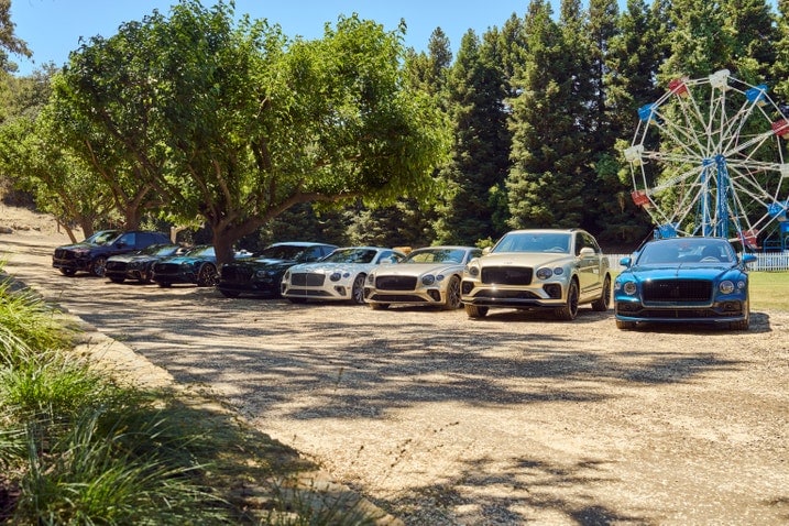 Bentley W12 group shot with Continental GT coupe and convertible, Bentayga and Flying Spur