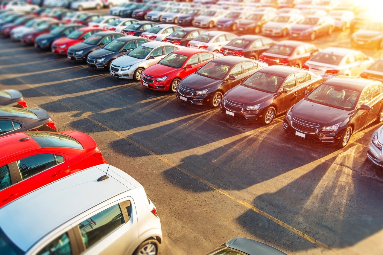 Dealership with cars