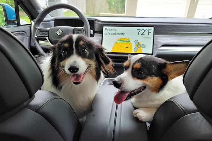 Rivian Pet Comfort mode with two Corgis in the front seats