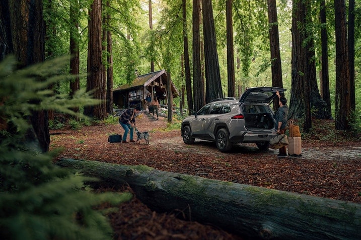 2026 Toyota RAV4 Woodland cargo