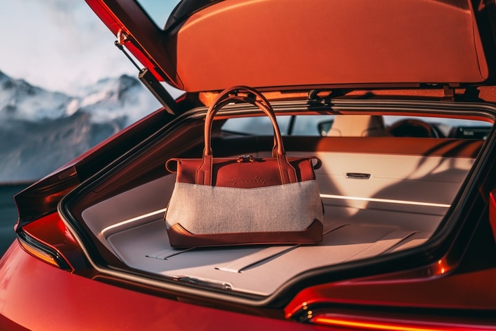 BMW Speedtop Concept hatch