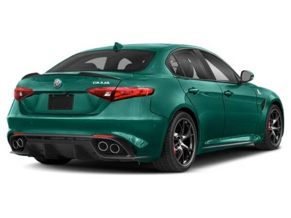 Alfa Romeo Giulia with VIN: ZARFAMEV3N7666356