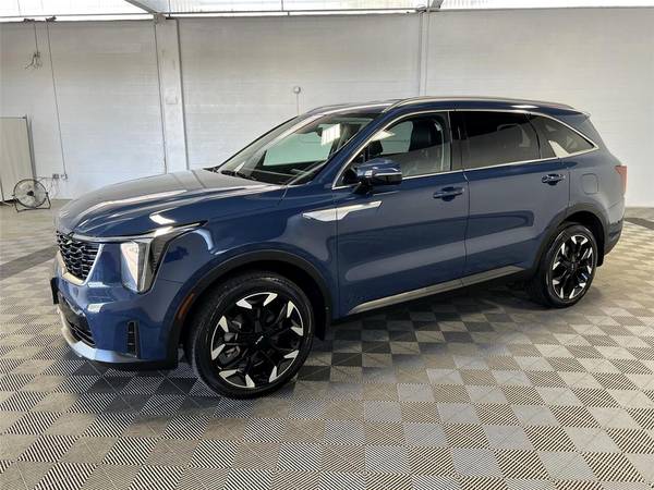 Kia Sorento with VIN: 5XYRHDJF9RG303800
