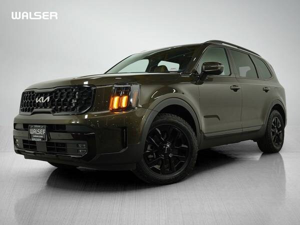 Kia Telluride with VIN: 5XYP5DGC5RG502680