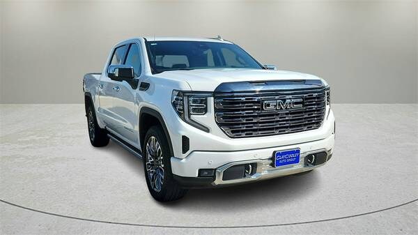 GMC Sierra 1500 with VIN: 1GTUUHEL3RZ193146