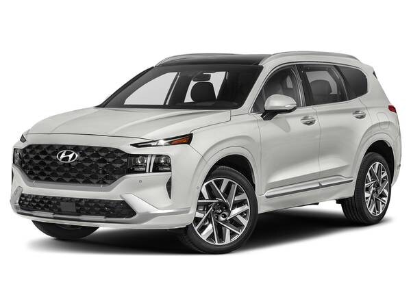 Hyundai Santa Fe with VIN: 5NMS5DAL5NH384066