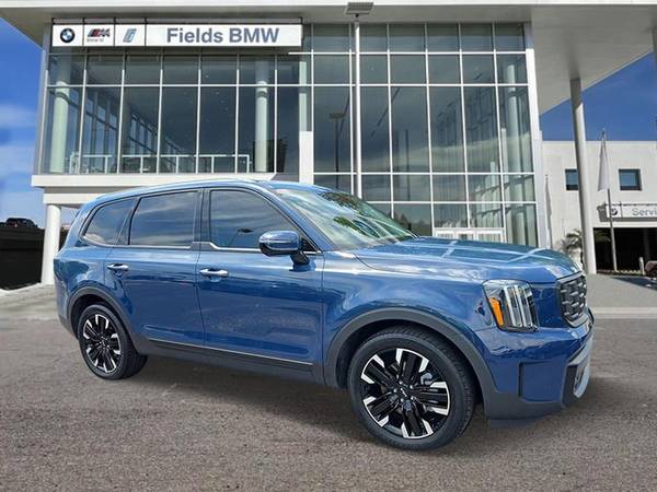 Kia Telluride with VIN: 5XYP5DGC9PG333194