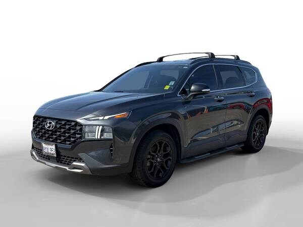 Hyundai Santa Fe with VIN: 5NMS64AJ0NH383192