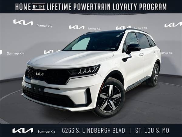 Kia Sorento with VIN: 5XYRL4LC6PG167981