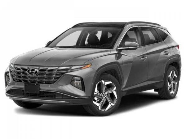 Hyundai Tucson with VIN: 5NMJECDE5RH347463
