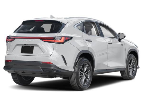 Lexus NX with VIN: 2T2GDCAZ7RC011707