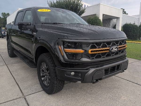 Ford F-150 with VIN: 1FTFW4L51SFA64684