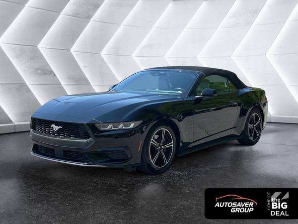 Ford Mustang with VIN: 1FAGP8UH5R5114493