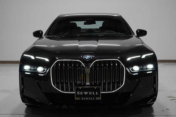 BMW 7 Series with VIN: WBA23EH0XRCP72421