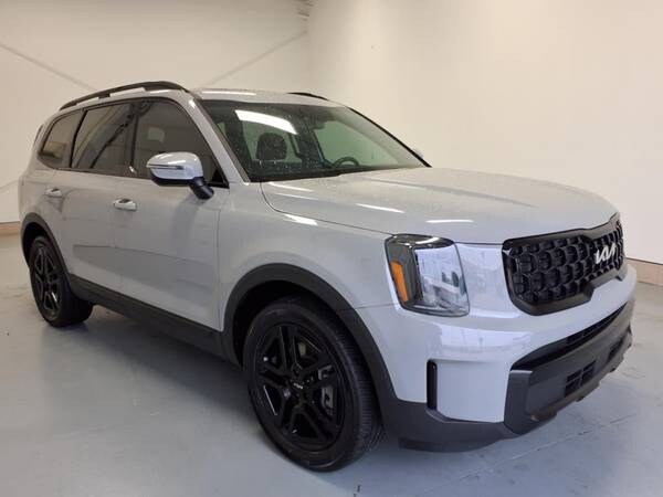 Kia Telluride with VIN: 5XYP3DGC2RG478750