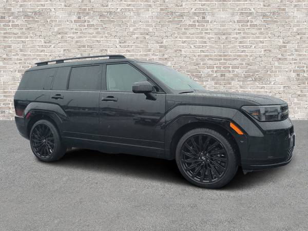 Hyundai Santa Fe with VIN: 5NMP5DGL6RH016918