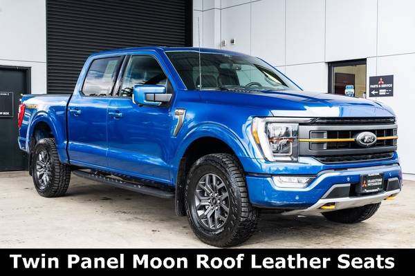 Ford F-150 with VIN: 1FTEW1E88NFA82475