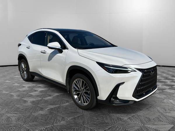 Lexus NX with VIN: JTJHGCEZ4S2022370
