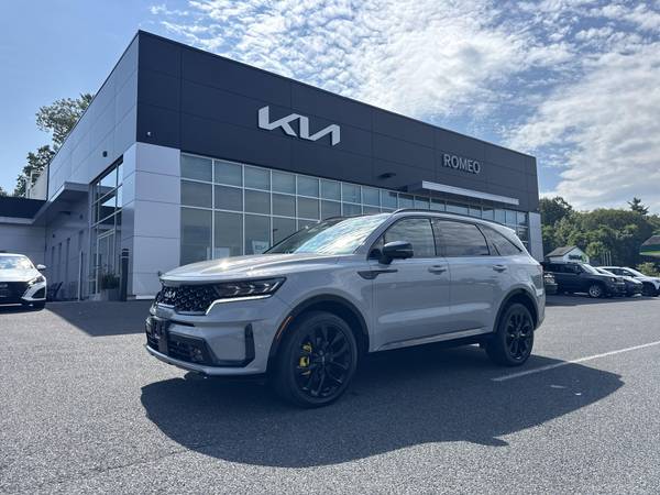 Kia Sorento with VIN: 5XYRKDLF7PG169610