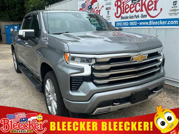 Chevrolet Silverado 1500 with VIN: 1GCUDJEL6PZ208923
