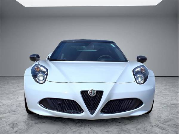 Alfa Romeo 4C with VIN: ZARBAAB48FM169458