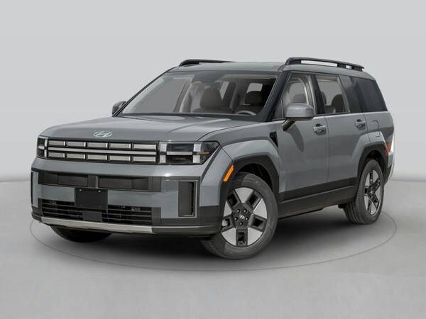 Hyundai Santa Fe with VIN: 5NMP24G12RH003218