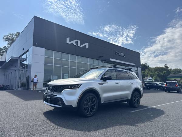 Kia Sorento with VIN: 5XYRKDLF8MG046684