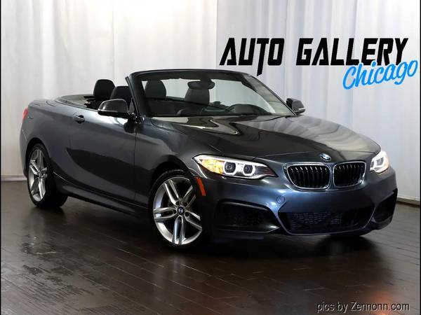 BMW 2 Series with VIN: WBA1L9C56GV324510