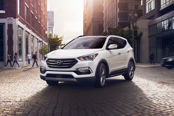 2017 hyundai santa hotsell fe sport roof rails